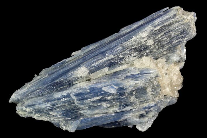 Vibrant Blue Kyanite Crystals In Quartz - Brazil #127363